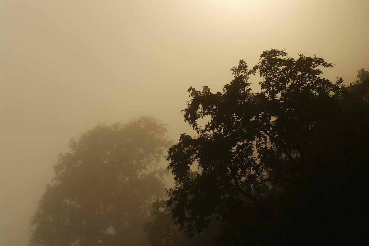 El Niño Intensifies: UK Met Office Warns of Record Global Temperatures and Extreme Weather