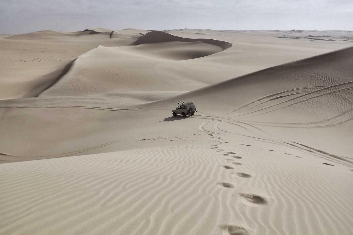 Ghana Evacuates 300 from South Africa as UK Steps In