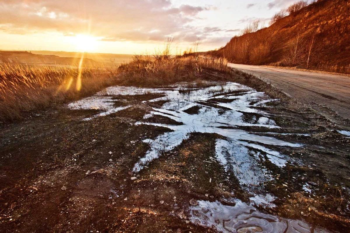 Landmark Biodiversity Treaty Signed in Montreal: A Promise or a Pipedream?