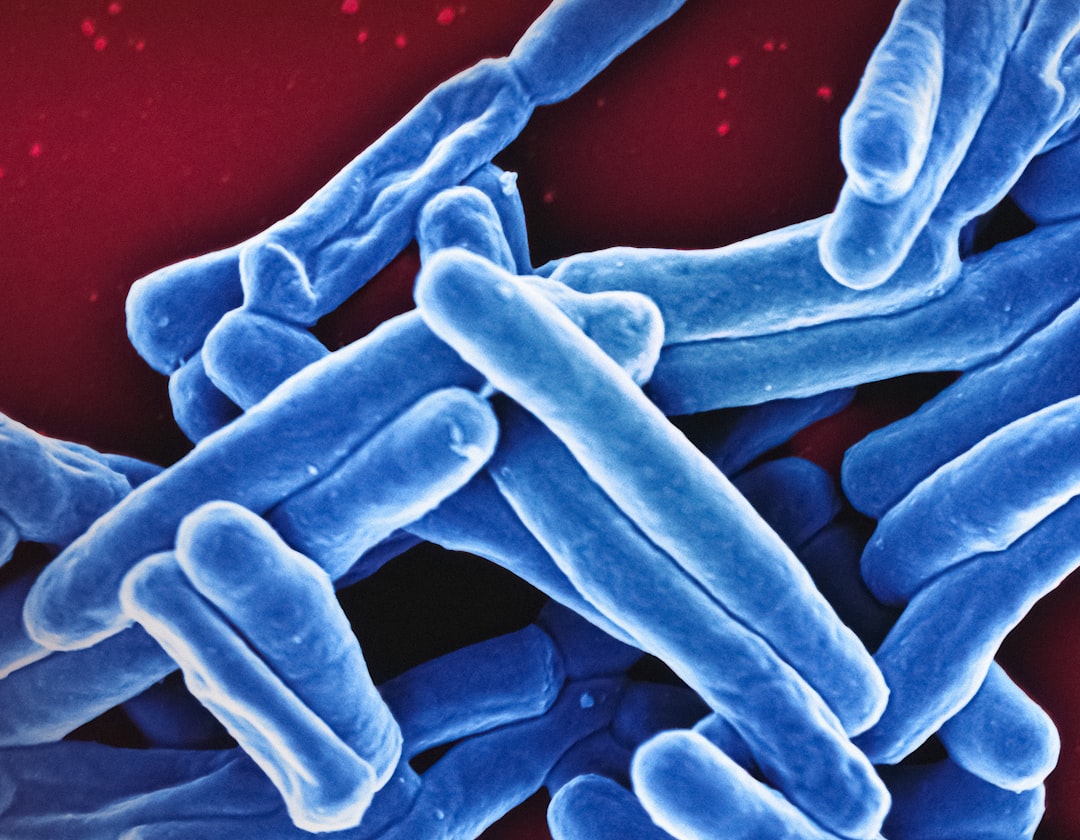The Antimicrobial Threat: Why the Development of New Antibiotics has Ground to a Halt