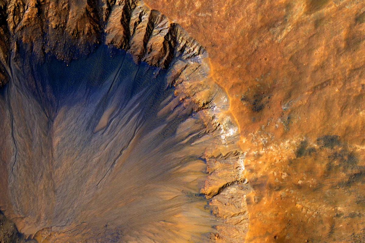 The New Frontier: Elon Musk's Connectivity Shield and the Death of Distance